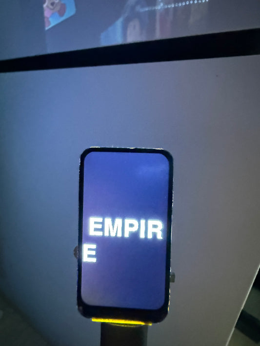 Egg-rider v2 style display